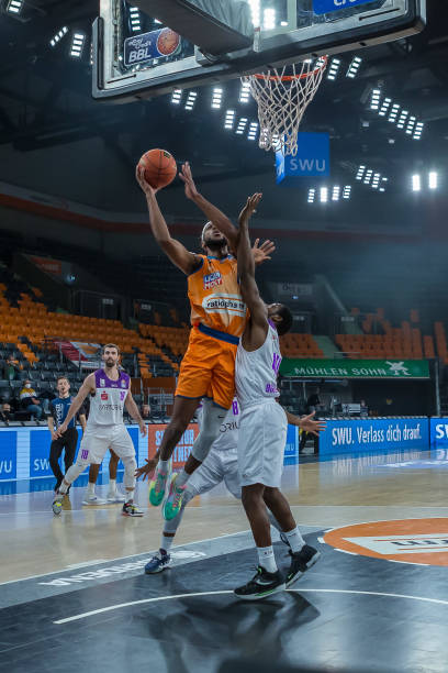 雪项目整体 雪项目整体