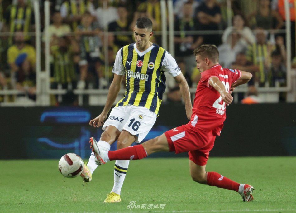 但因为判罚 但因为判罚